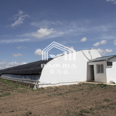 Plastic Film Agricultural Greenhouse With High Insulation Automatic Air Circulation