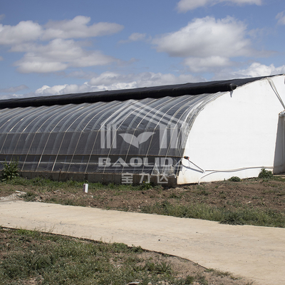 Plastic Film Agricultural Greenhouse With High Insulation Automatic Air Circulation