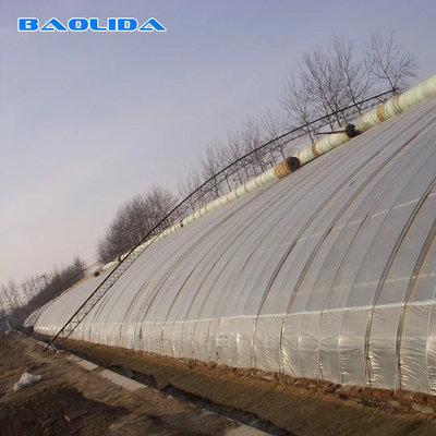 Steel Frame Solar Passive Greenhouse With Automatic Irrigation System