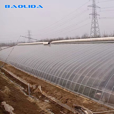 Steel Frame Solar Passive Greenhouse With Automatic Irrigation System