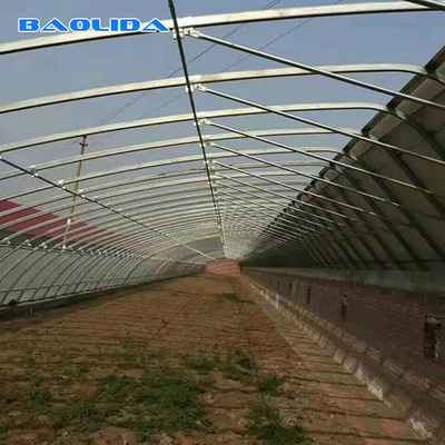 Steel Frame Solar Passive Greenhouse With Automatic Irrigation System