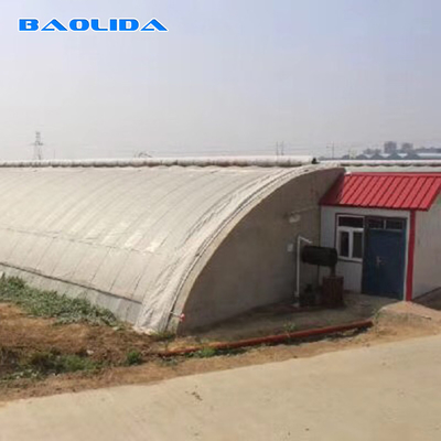 Steel Frame Solar Passive Greenhouse With Automatic Irrigation System