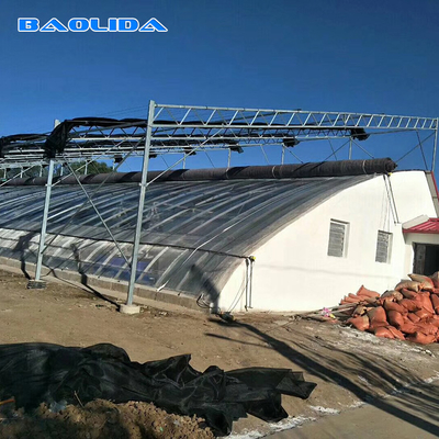 Steel Frame Solar Passive Greenhouse With Automatic Irrigation System