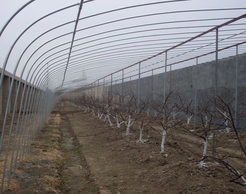 Customized Temperature Control Polytunnel Greenhouses With Solar Energy Cooling System