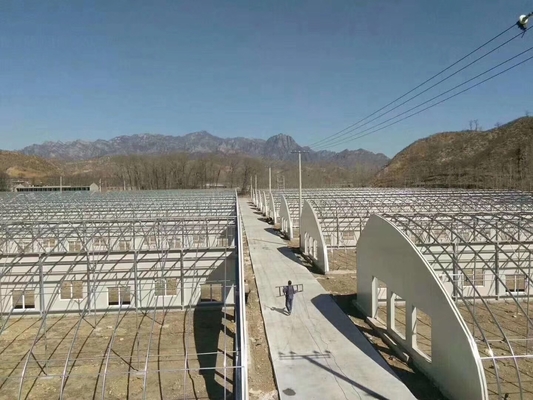 Customized Temperature Control Polytunnel Greenhouses With Solar Energy Cooling System