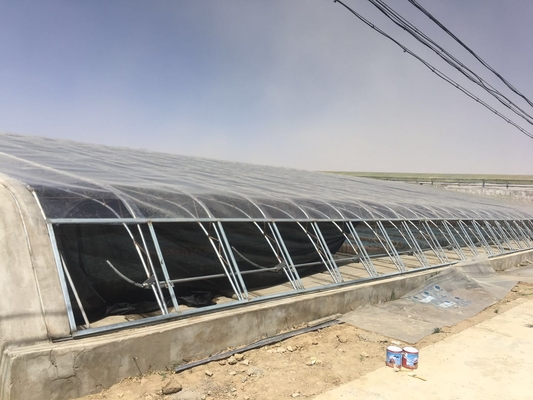 Customized Temperature Control Polytunnel Greenhouses With Solar Energy Cooling System