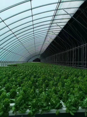 Customized Temperature Control Polytunnel Greenhouses With Solar Energy Cooling System