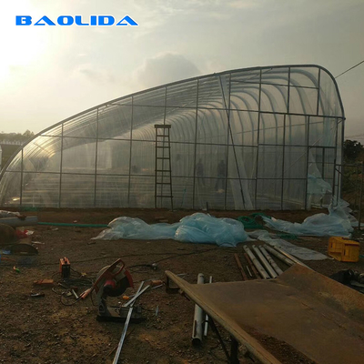 Automatic High Insulated Agricultural Greenhouse With Customized Temperature Control