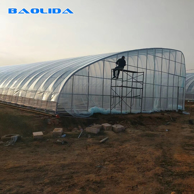 Automatic High Insulated Agricultural Greenhouse With Customized Temperature Control