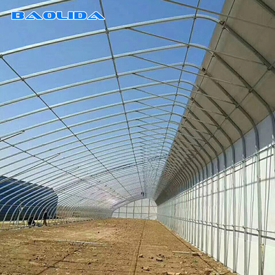Automatic High Insulated Agricultural Greenhouse With Customized Temperature Control