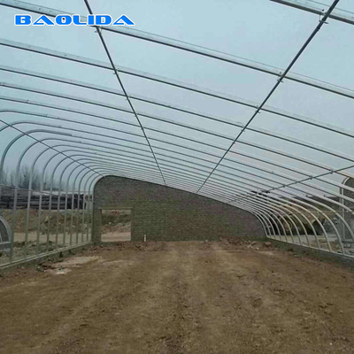 Automatic High Insulated Agricultural Greenhouse With Customized Temperature Control