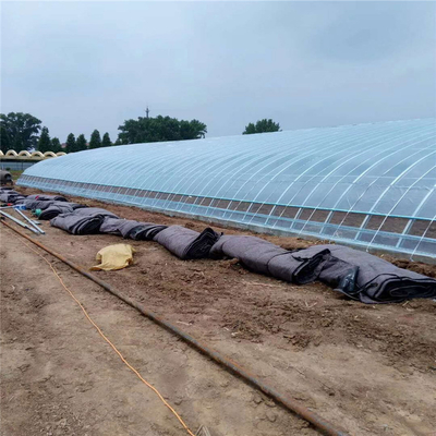 Solar Energy Cooled Automatic Winter Greenhouse With Automatic Humidity Control