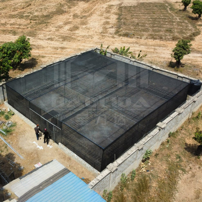 Low Price Steel Rectangle Greenhouse Frame with Shade Net for Tropical Area