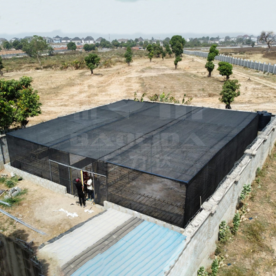 Low Price Steel Rectangle Greenhouse Frame with Shade Net for Tropical Area