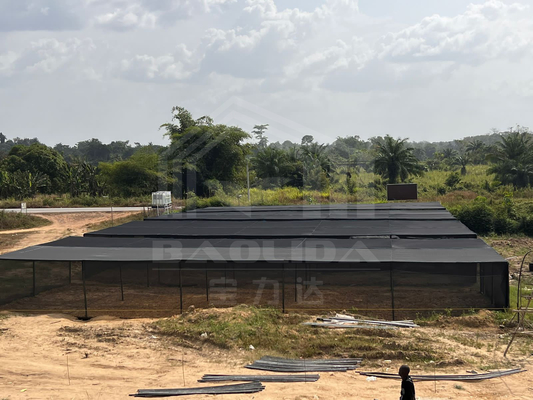 Low Price Steel Rectangle Greenhouse Frame with Shade Net for Tropical Area