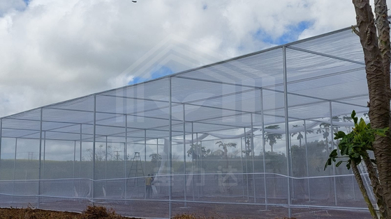 Polyethylene Film Steel Greenhouse with Shade Net and Insect Net