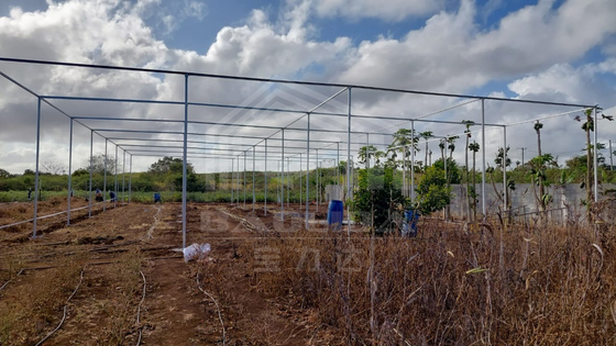 Low Price Steel Rectangle Greenhouse Frame with Shade Net for Tropical Area
