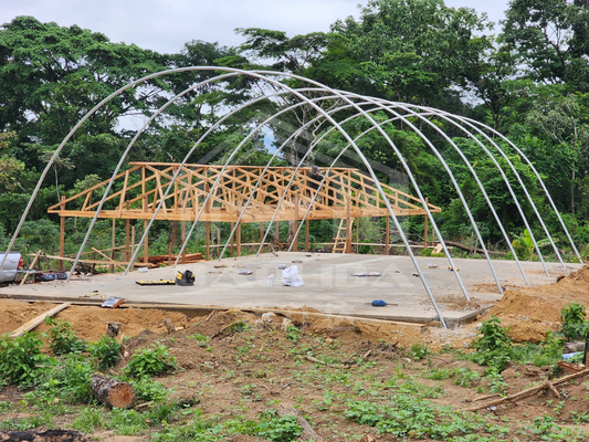 Sturdy UV Protected Polycarbonate Dryer Greenhouse with Hot Galvanized Steel Frame