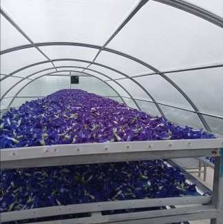 Durable UV Protected Fish Herb Solar Drying Greenhouse with Stable Structure for Plant and Food Drying