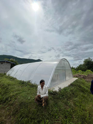 Durable UV Protected Fish Herb Solar Drying Greenhouse with Stable Structure for Plant and Food Drying