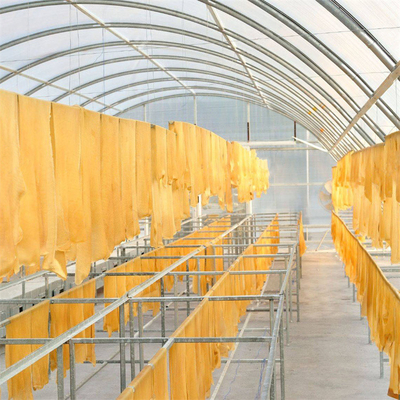 Customizable Polycarbonate Fish Drying Greenhouse with UV Protection and Stable Structure
