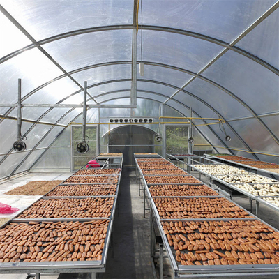Customizable Polycarbonate Fish Drying Greenhouse with UV Protection and Stable Structure