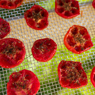 Customizable Polycarbonate Fish Drying Greenhouse with UV Protection and Stable Structure