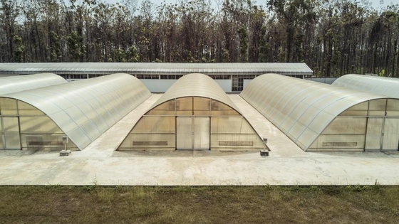 Customized UV Protected Polycarbonate Solar Dryer Greenhouse with Inside Outside Shading System