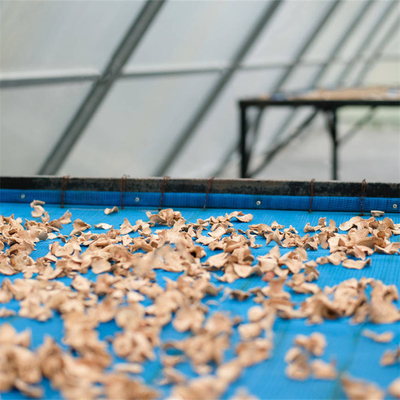 Customized UV Protected Polycarbonate Solar Dryer Greenhouse with Inside Outside Shading System
