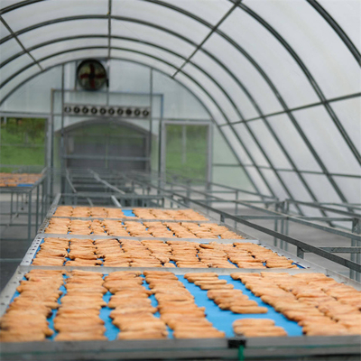 Customized UV Protected Polycarbonate Solar Dryer Greenhouse with Inside Outside Shading System