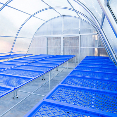 Custom Polycarbonate Solar Drying Greenhouse with UV Protection for Plant and Food Drying