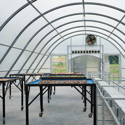 Custom Polycarbonate Solar Drying Greenhouse with UV Protection for Plant and Food Drying