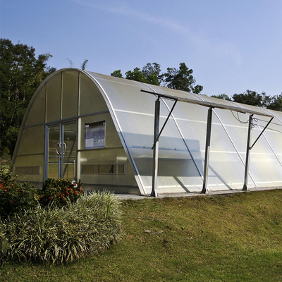 Custom Polycarbonate Solar Drying Greenhouse with UV Protection for Plant and Food Drying