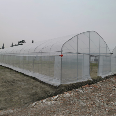 Wind Resistant UV Net House Greenhouse Environmental Controller Multi-span Greenhouses