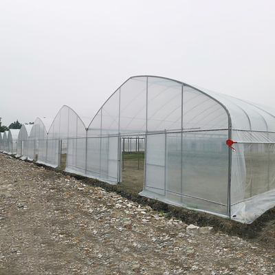 Wind Resistant UV Net House Greenhouse Environmental Controller Multi-span Greenhouses