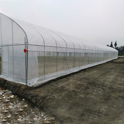 Wind Resistant UV Net House Greenhouse Environmental Controller Multi-span Greenhouses