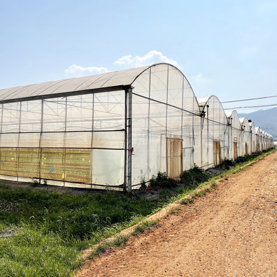Wind Resistant UV Net House Greenhouse Environmental Controller Multi-span Greenhouses