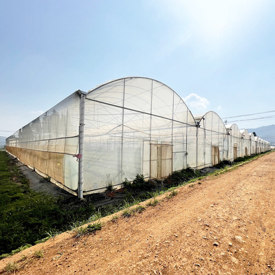 Wind Resistant UV Net House Greenhouse Environmental Controller Multi-span Greenhouses