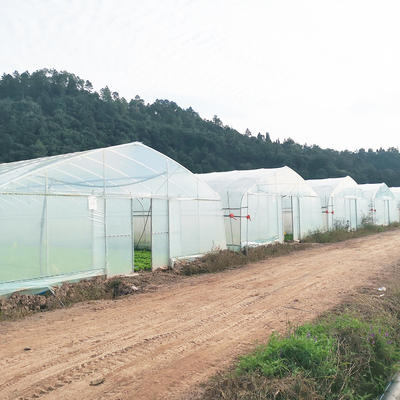 Single Layer Warm Plastic Film Greenhouse Malaysia Tomato Flower Greenhouse For Farming
