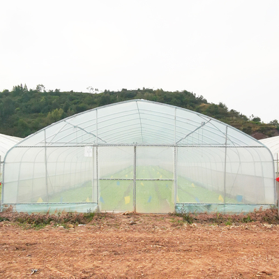 Single Layer Warm Plastic Film Greenhouse Malaysia Tomato Flower Greenhouse For Farming
