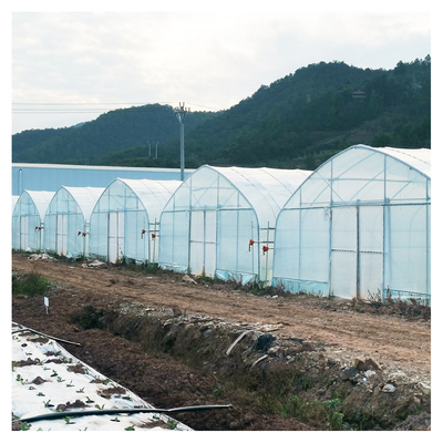 Single Layer Warm Plastic Film Greenhouse Malaysia Tomato Flower Greenhouse For Farming