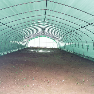 Single Layer Warm Plastic Film Greenhouse Malaysia Tomato Flower Greenhouse For Farming