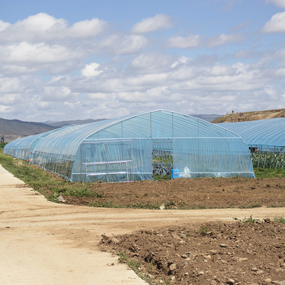 Hot Sale Poly Tunnel Strawberry Greenhouse Agricultural Single-span Greenhouse For Strawberry Growing