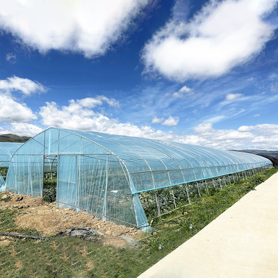 Hot Sale Poly Tunnel Strawberry Greenhouse Agricultural Single-span Greenhouse For Strawberry Growing