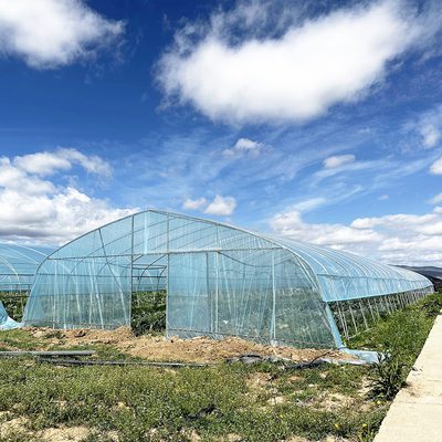 Hot Sale Poly Tunnel Strawberry Greenhouse Agricultural Single-span Greenhouse For Strawberry Growing