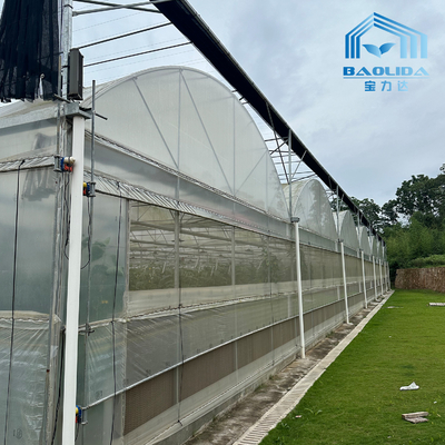 Intelligent Galvanized Tube Steel Pipe Tomato Plastic Film Arch Hothouse Agricultural Multi-span Greenhouse For Sale