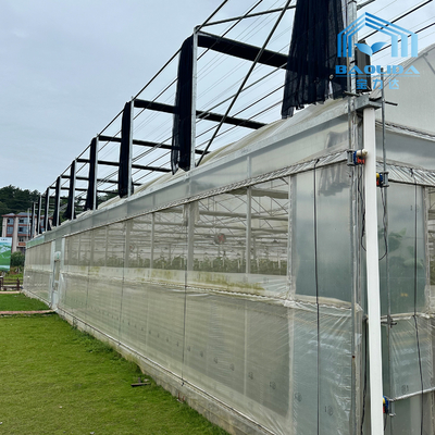Intelligent Galvanized Tube Steel Pipe Tomato Plastic Film Arch Hothouse Agricultural Multi-span Greenhouse For Sale