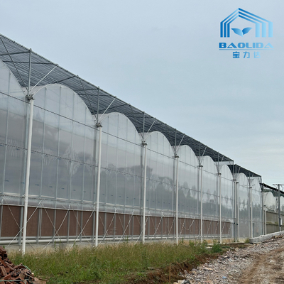Intelligent Galvanized Tube Steel Pipe Tomato Plastic Film Arch Hothouse Agricultural Multi-span Greenhouse For Sale