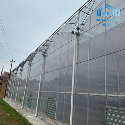 Intelligent Galvanized Tube Steel Pipe Tomato Plastic Film Arch Hothouse Agricultural Multi-span Greenhouse For Sale