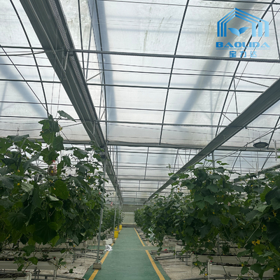 Intelligent Galvanized Tube Steel Pipe Tomato Plastic Film Arch Hothouse Agricultural Multi-span Greenhouse For Sale